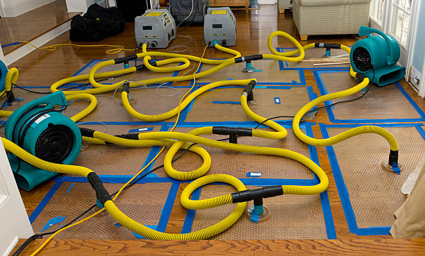 Professional Water Damage Restoration technician working in New Braintree, MA